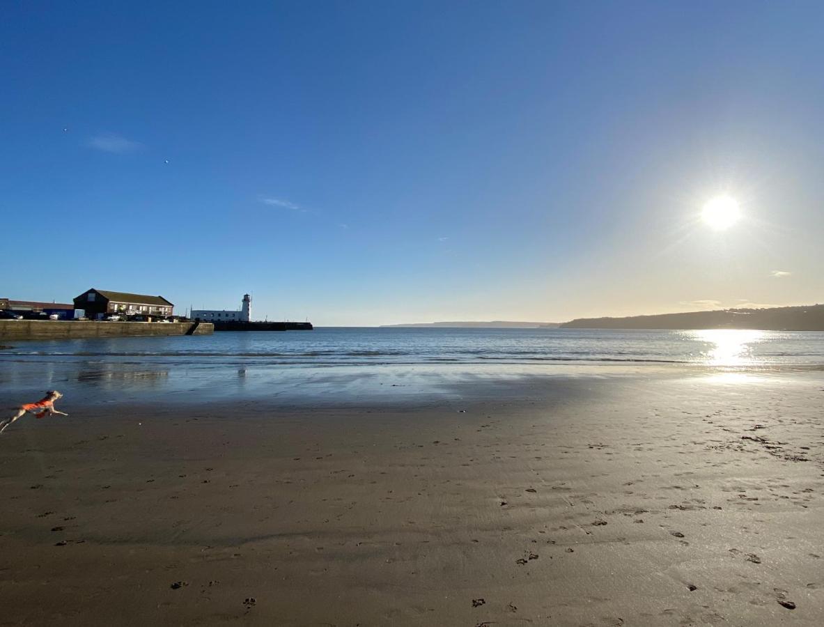 Kittiwake Holiday home *