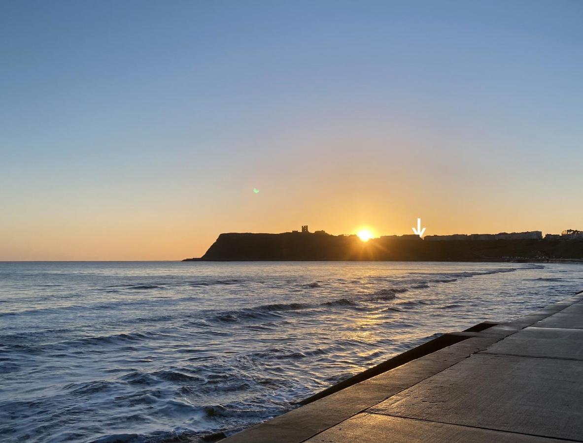 Kittiwake * Scarborough